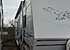 2006 Forest River Wildcat for sale 300164683